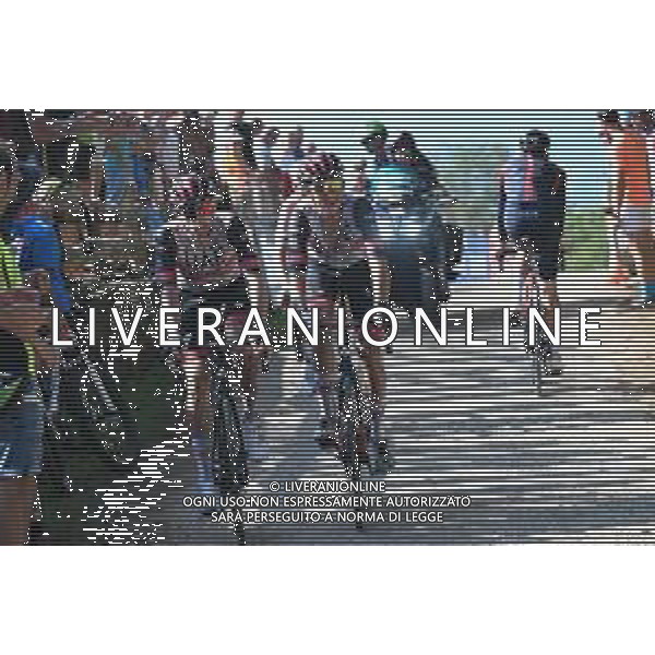 28-08-2022 Vuelta A Espana; Tappa 09 Villaviciosa - Les Praeres; 2022, Uae Emirates; Mcnulty, Brandon; Soler, Marc; Les Praeres; FOTO STEFANO SIROTTI-AG ALDO LIVERANI SAS