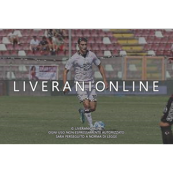 REGGINA - PALERMO CAMPIONATO CALCIO SERIE BKT 03.09.2022 NELLA FOTO IONUT NEDELCEARU ( PALERMO ) ©PASQUALE GARREFFA/AGENZIA ALDO LIVERANI SAS