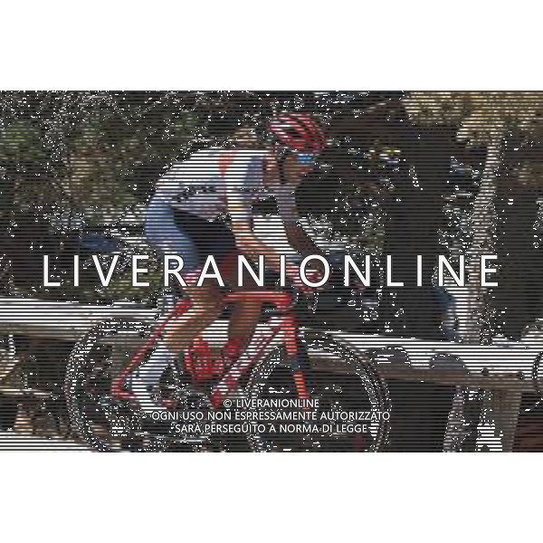 10-09-2022 Vuelta A Espana; Tappa 20 Moralzarzal - Puerto De Navacerrada; 2022, Trek - Segafredo; Tiberi, Antonio; Puerto De Navacerrada; ©SIROTTI/AGENZIA ALDO LIVERANI SAS