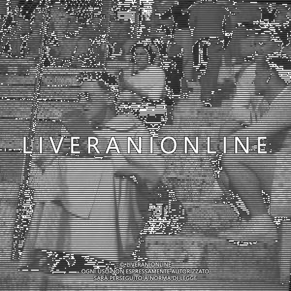 1950 ROMA FORO ITALICO TORNEO INTERNAZIONALE DI TENNIS NELLA FOTO IMMAGINI DEI PARTECIPANTI AG ALDO LIVERANI SAS