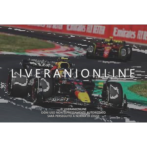 Max Verstappen (NLD) Red Bull Racing RB18. 11.09.2022. Formula 1 World Championship, Rd 16, Italian Grand Prix, Monza, Italy, Race Day. - www.xpbimages.com, EMail: requests@xpbimages.com © Copyright: Charniaux / XPB Images/AGENZIA ALDO LIVERANI SAS - ITALY ONLY EDITORIAL USE ONLY