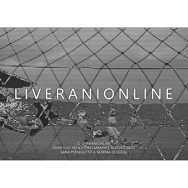 19-11-1950 ROMA CAMPIONATO DI CALCIO SERIE A ROMA-NAPOLI NELLA FOTO AZIONI DI GIOCO FOTO SANDRO VESPASIANI-AG ALDO LIVERANI SAS