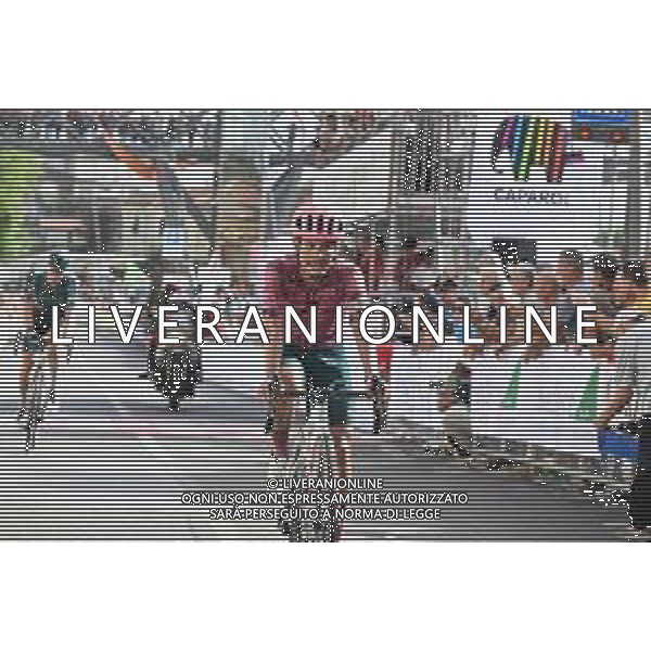 15-09-2022 Coppa Sabatini; 2022, Ef Education - Easypost; Chaves Rubio, Johan Estaban; Peccioli; ©SIROTTI/AGENZIA ALDO LIVERANI SAS