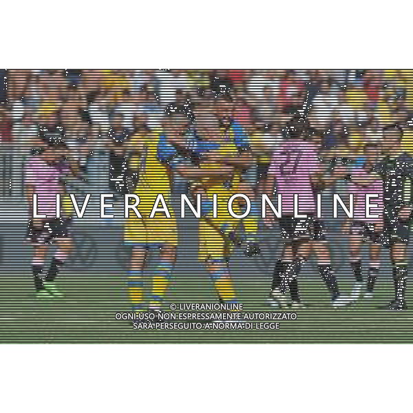 Frosinone vs Palermo Campionato di Serie B - 6 Giornata Stadio B. Stirpe - Frosinone 17-09-2022 nella foto Esultanza finale Frosinone ©Federico Gaetano/AGENZIA ALDO LIVERANI SAS