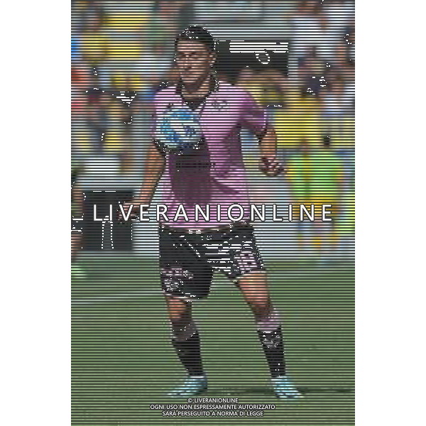 Frosinone vs Palermo Campionato di Serie B - 6 Giornata Stadio B. Stirpe - Frosinone 17-09-2022 nella foto Ionut Nedelcearu ©Federico Gaetano/AGENZIA ALDO LIVERANI SAS