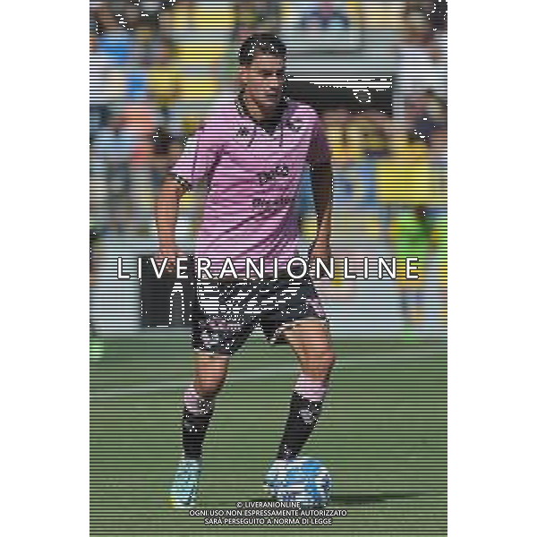 Frosinone vs Palermo Campionato di Serie B - 6 Giornata Stadio B. Stirpe - Frosinone 17-09-2022 nella foto Ionut Nedelcearu ©Federico Gaetano/AGENZIA ALDO LIVERANI SAS