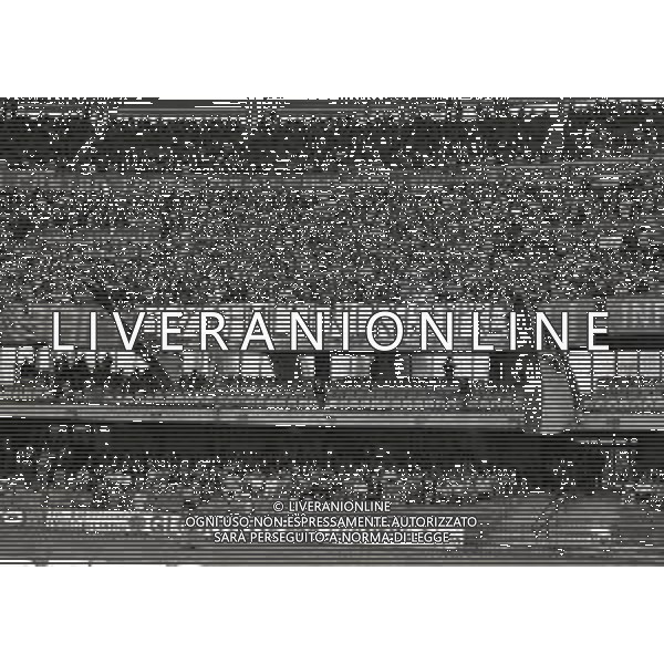 23-10-1988 VERONA CAMPIONATO DI CALCIO SERIE A VERONA-INTER 0-0 NELLA FOTO TIFOSI VERONA AG ALDO LIVERANI SAS