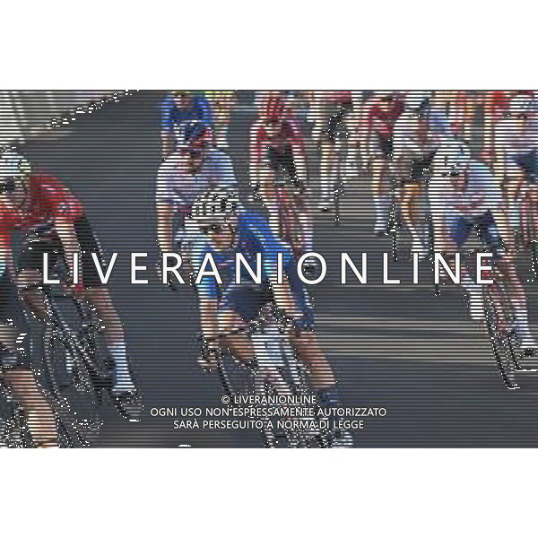 25-09-2022 World Championships Elite; 2022, Ef Education - Easypost; Bettiol, Alberto; Wollongong; foto stefano sirotti-ag aldo liverani sas