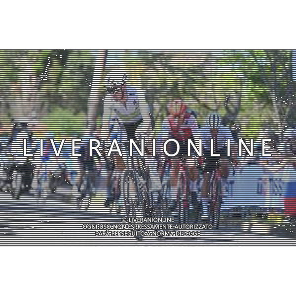 25-09-2022 World Championships Elite; 2022, Ag2r - Citroen; O\'connor, Ben; foto stefano sirotti-ag aldo liverani sas
