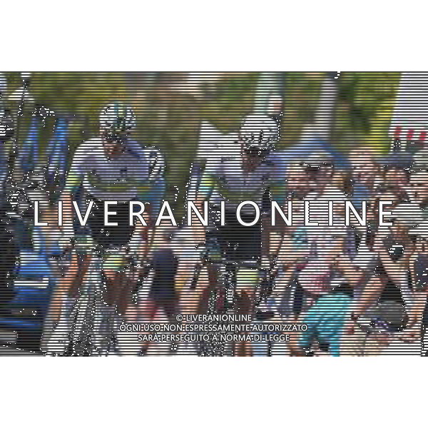 25-09-2022 World Championships Elite; 2022, Ag2r - Citroen; O\'connor, Ben; foto stefano sirotti-ag aldo liverani sas