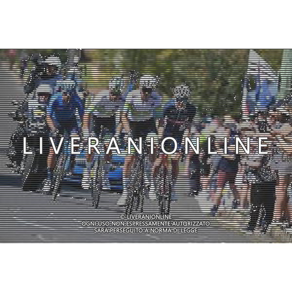 25-09-2022 World Championships Elite; 2022, Ag2r - Citroen; O\'connor, Ben; foto stefano sirotti-ag aldo liverani sas