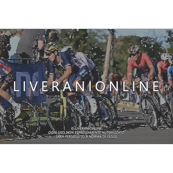 25-09-2022 World Championships Elite; 2022, Jumbo - Visma; Laporte, Christophe; foto stefano sirotti-ag aldo liverani sas