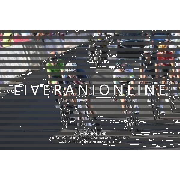 25-09-2022 World Championships Elite; 2022, Ef Education - Easypost; Powless, Neilson; Wollongong; foto stefano sirotti-ag aldo liverani sas