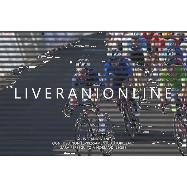 25-09-2022 World Championships Elite; 2022, Quick Step - Alpha Vinyl; Alaphilippe, Julian; Wollongong; foto stefano sirotti-ag aldo liverani sas