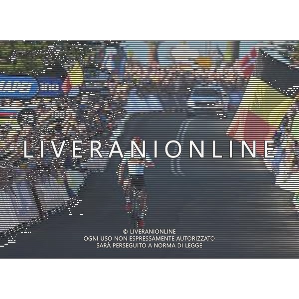 25-09-2022 World Championships Elite; 2022, Quick Step - Alpha Vinyl; Evenepoel, Remco; Wollongong; foto stefano sirotti-ag aldo liverani sas
