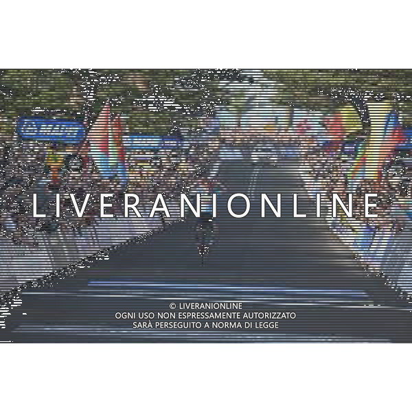 25-09-2022 World Championships Elite; 2022, Quick Step - Alpha Vinyl; Evenepoel, Remco; Wollongong; foto stefano sirotti-ag aldo liverani sas