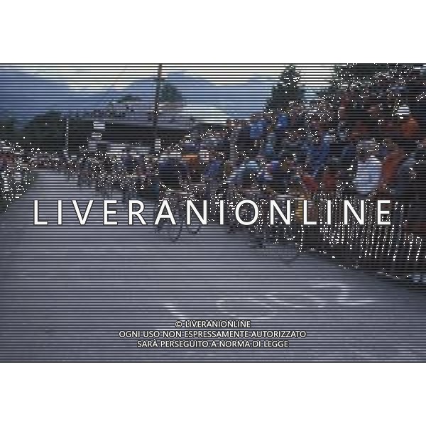 RETROSPETTIVA BERNARD HINAULT CICLISTA NELLA FOTO BERNARD HINAULT CON GIOVANNI BATTAGLIN VINCE IL CAMPIONATO DEL MONDO SU STRADA NELL\'ANNO 1980 FOTO SERGIO PENAZZO-AG ALDO LIVERANI SAS