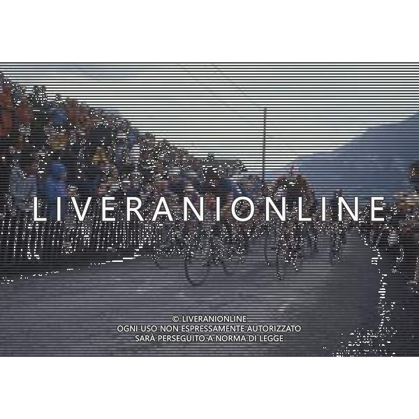 RETROSPETTIVA BERNARD HINAULT CICLISTA NELLA FOTO BERNARD HINAULT CON GIOVANNI BATTAGLIN VINCE IL CAMPIONATO DEL MONDO SU STRADA NELL\'ANNO 1980 FOTO SERGIO PENAZZO-AG ALDO LIVERANI SAS