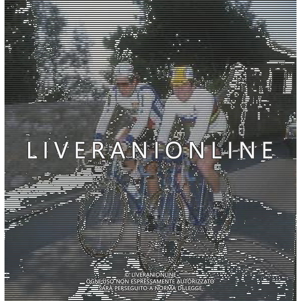RETROSPETTIVA BERNARD HINAULT CICLISTA NELLA FOTO BERNARD HINAULT CON FRANCESCO MOSER AG ALDO LIVERANI SAS