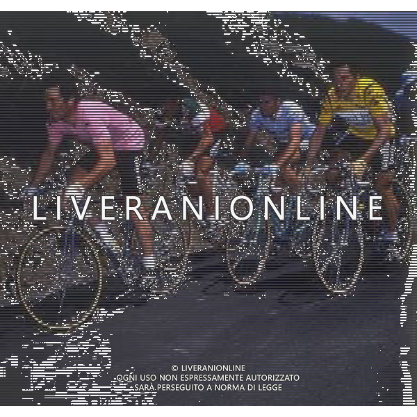 RETROSPETTIVA BERNARD HINAULT CICLISTA NELLA FOTO BERNARD HINAULT CON LA MAGLIA ROSA - FRANCESCO MOSER E GIUSEPPE SARONNI AG ALDO LIVERANI SAS