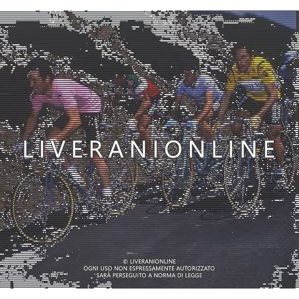 RETROSPETTIVA BERNARD HINAULT CICLISTA NELLA FOTO BERNARD HINAULT CON LA MAGLIA ROSA E FRANCESCO MOSER-GIUSEPPE SARONNI AG ALDO LIVERANI SAS
