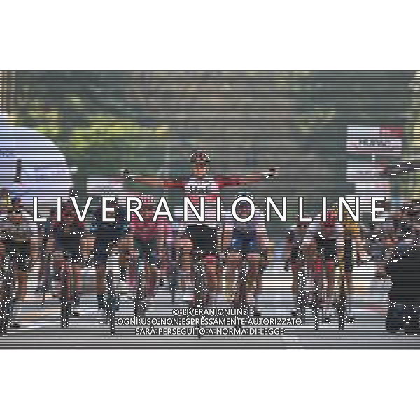 04-10-2022 Tre Valli Varesine; 2022, Uae Emirates; 2022, Movistar; 2022, Totalenergie; 2022, Bora - Hansgrohe; Pogacar, Tadej; Valverde, Alejandro; Latour, Pierre Roger; Higuita, Sergio; Varese; ©SIROTTI/AGENZIA ALDO LIVERANI SAS