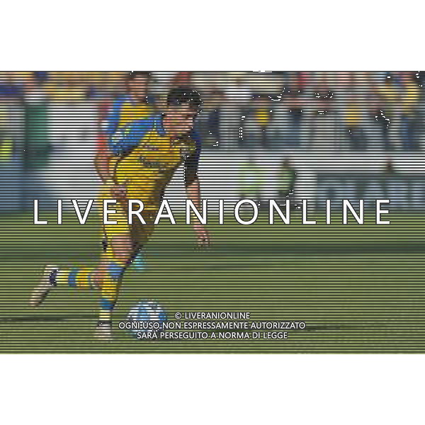 Frosinone vs Spal Campionato Serie B - 8 Giornata Stadio B.Stirpe - Frosinone 08-10-2022 nella foto Giuseppe Caso FOTO FEDERICO GAETANO-AG ALDO LIVERANI SAS