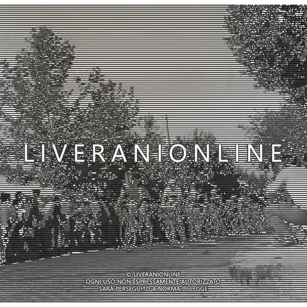 1955 FRASCATI CAMPIONATO DEL MONDO DI CICLISMO DILETTANTI NELLA FOTO PANORAMICA DELLA GARA FOTO SANDRO VESPASIANI-AG ALDO LIVERANI SAS