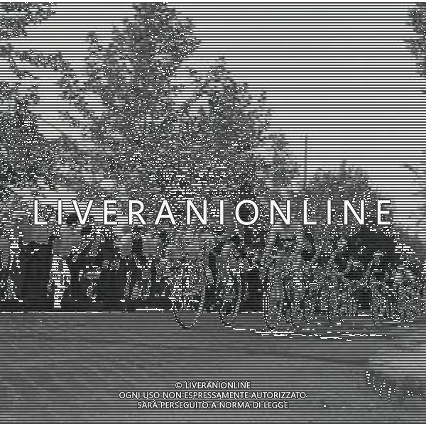 1955 FRASCATI CAMPIONATO DEL MONDO DI CICLISMO DILETTANTI NELLA FOTO PANORAMICA DELLA GARA FOTO SANDRO VESPASIANI-AG ALDO LIVERANI SAS
