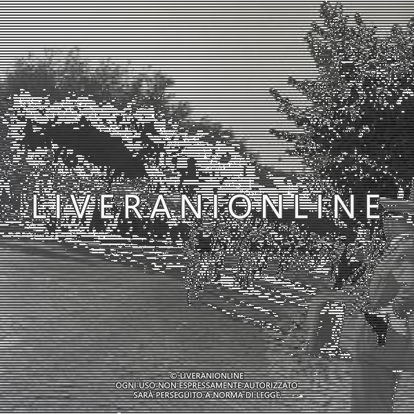 1955 FRASCATI CAMPIONATO DEL MONDO DI CICLISMO DILETTANTI NELLA FOTO PANORAMICA DELLA GARA FOTO SANDRO VESPASIANI-AG ALDO LIVERANI SAS