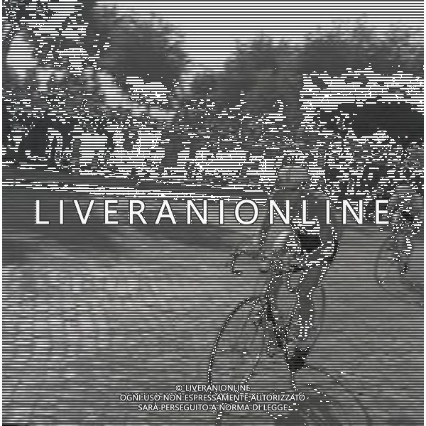 1955 FRASCATI CAMPIONATO DEL MONDO DI CICLISMO DILETTANTI NELLA FOTO PANORAMICA DELLA GARA FOTO SANDRO VESPASIANI-AG ALDO LIVERANI SAS