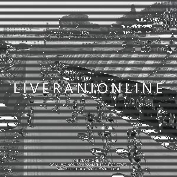 1955 FRASCATI CAMPIONATO DEL MONDO DI CICLISMO DILETTANTI NELLA FOTO PANORAMICA DELLA GARA FOTO SANDRO VESPASIANI-AG ALDO LIVERANI SAS