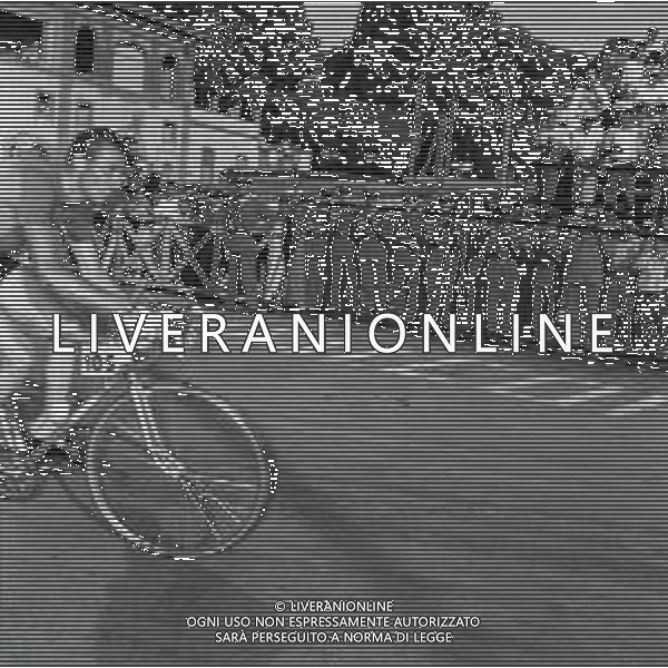 1955 FRASCATI CAMPIONATO DEL MONDO DI CICLISMO DILETTANTI NELLA FOTO PANORAMICA DELLA GARA FOTO SANDRO VESPASIANI-AG ALDO LIVERANI SAS