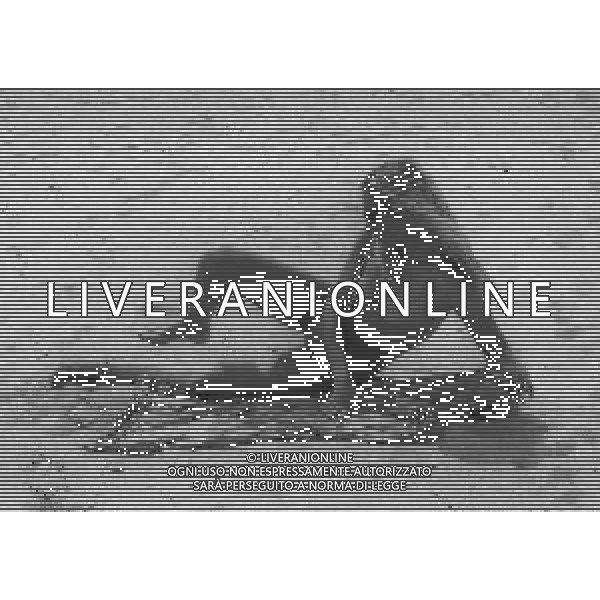 RETROSPETTIVA ELEONORA VALLONE ATTRICE NELLA FOTO ELEONORA VALLONE NELL\'ANNO 1983 A VENEZIA AG ALDO LIVERANI SAS  