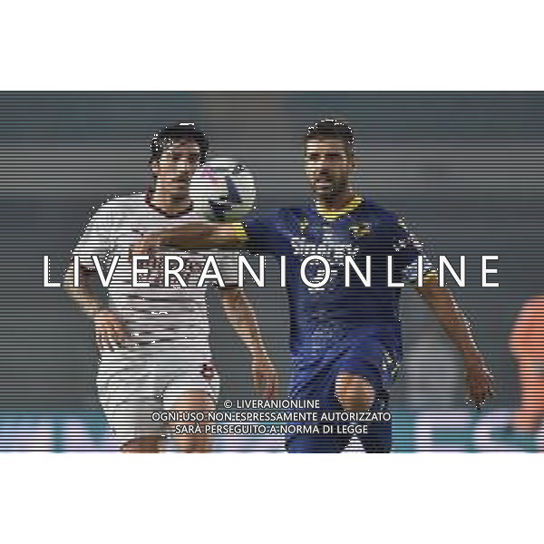 Sandro Tonali (Milan) e Miguel Veloso (Hellas Verona) Hellas Verona vs Milan Verona 16-10-2022 Stadio Marcantonio Bentegodi Campionato Serie A TIM - 10a giornata foto Roberto Garavaglia/ag. Aldo Liverani sas/ AGENZIA ALDO LIVERANI SAS