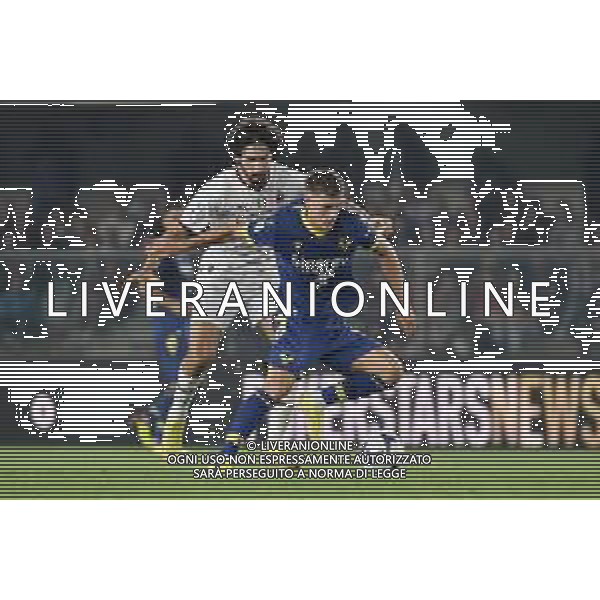 Yacine Adli (Milan) e Ajdin Hrustic (Hellas Verona) Hellas Verona vs Milan Verona 16-10-2022 Stadio Marcantonio Bentegodi Campionato Serie A TIM - 10a giornata foto Roberto Garavaglia/ag. Aldo Liverani sas/ AGENZIA ALDO LIVERANI SAS