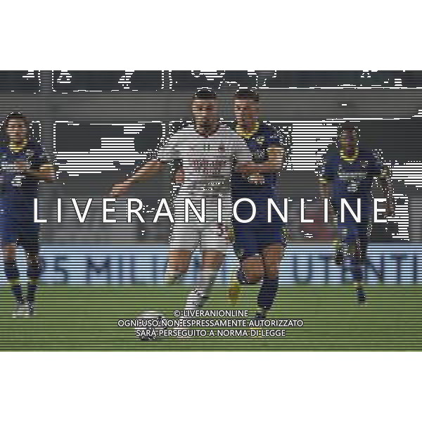 Rade Krunic (Milan) e Ajdin Hrustic (Hellas Verona) Hellas Verona vs Milan Verona 16-10-2022 Stadio Marcantonio Bentegodi Campionato Serie A TIM - 10a giornata foto Roberto Garavaglia/ag. Aldo Liverani sas/ AGENZIA ALDO LIVERANI SAS