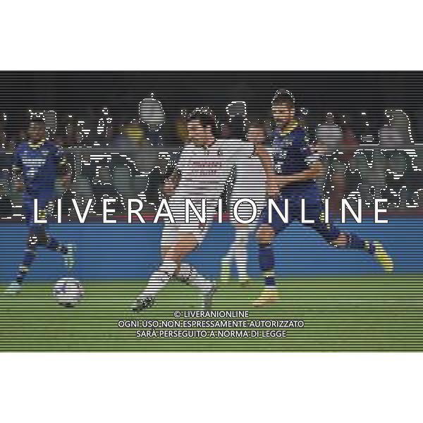 Sandro Tonali (Milan) segna il gol del 2 a 1 Hellas Verona vs Milan Verona 16-10-2022 Stadio Marcantonio Bentegodi Campionato Serie A TIM - 10a giornata foto Roberto Garavaglia/ag. Aldo Liverani sas/ AGENZIA ALDO LIVERANI SAS