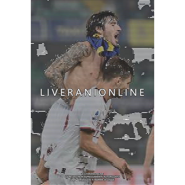 esultanza finale Sandro Tonali (Milan) e Matteo Gabbia (Milan) Hellas Verona vs Milan Verona 16-10-2022 Stadio Marcantonio Bentegodi Campionato Serie A TIM - 10a giornata foto Roberto Garavaglia/ag. Aldo Liverani sas/ AGENZIA ALDO LIVERANI SAS