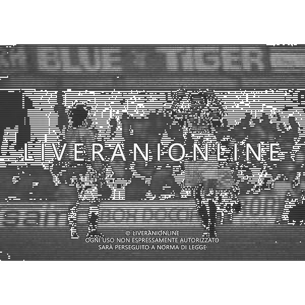11-12-1988 VERONA CAMPIONATO DI CALCIO SERIE A VERONA-NAPOLI 0-1 NELLA FOTO ESULTANZA MASSIMO CRIPPA AG ALDO LIVERANI SAS