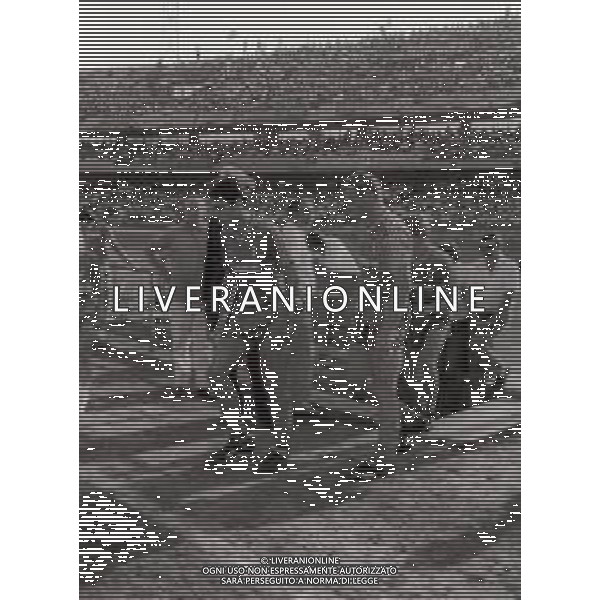 22-09-1985 VERONA CAMPIONATO DI CALCIO SERIE A VERONA-COMO 3-0 NELLA FOTO ANTONIO DI GENNARO E PETER HANS BRIEGEL AG ALDO LIVERANI SAS