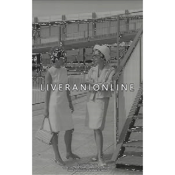 RETROSPETTIVA NADIA TILLER ATTRICE NELLA FOTO NADJA TILLER A MILANO NELL\'ANNO 1966 A LINATE AG ALDO LIVERANI SAS