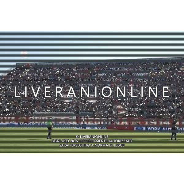 Reggina vs Perugia Serie B 2022-2023. 22 Ottobre 2022 Stadio Oreste Granillo - Reggio Calabria In foto: tifosi reggina Reggina vs Perugia Serie B 2022-2023. Otctober 22, 2022 at Stadio Oreste Granillo in Reggio Calabria, Italy. In pic: ©Andrea ROSITO / AGENZIA ALDO LIVERANI SAS