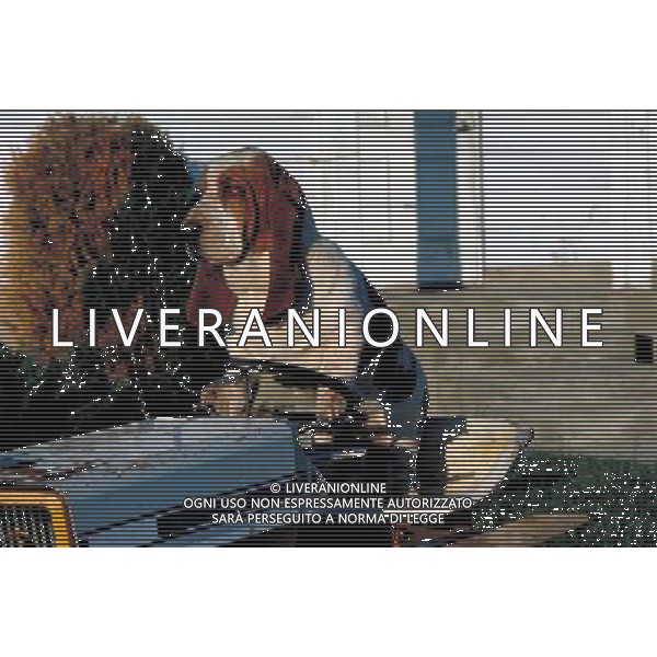 NELLA FOTO BASSETHOUND AGENZIA ALDO LIVERANI IFC