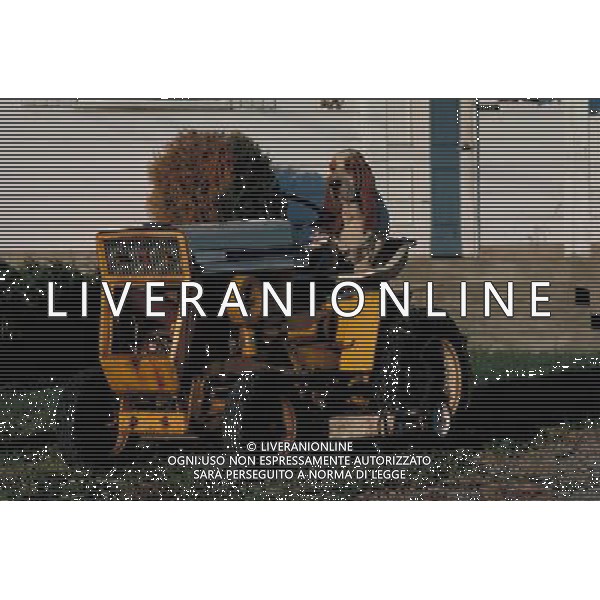 NELLA FOTO BASSETHOUND AGENZIA ALDO LIVERANI IFC