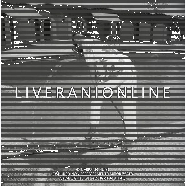 Kerima, pseudonimo di Miriam Charriére, è un\'attrice francese nellgli anni 1950-1955 a Roma AG ALDO LIVERANI SAS
