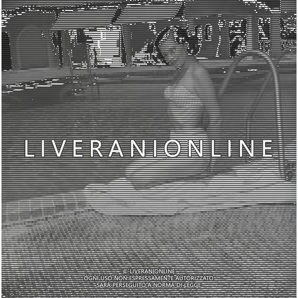 Kerima, pseudonimo di Miriam Charriére, è un\'attrice francese nellgli anni 1950-1955 a Roma AG ALDO LIVERANI SAS