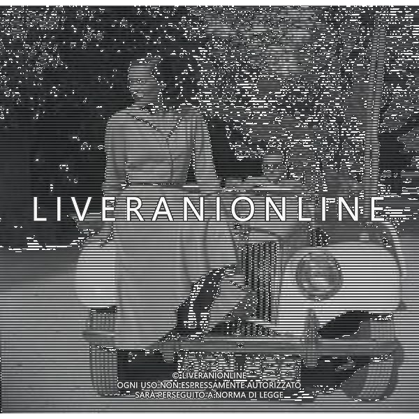 Kerima, pseudonimo di Miriam Charriére, è un\'attrice francese nellgli anni 1950-1955 a Roma AG ALDO LIVERANI SAS