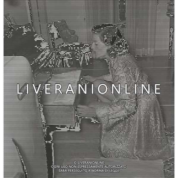 Kerima, pseudonimo di Miriam Charriére, è un\'attrice francese nellgli anni 1950-1955 a Roma AG ALDO LIVERANI SAS