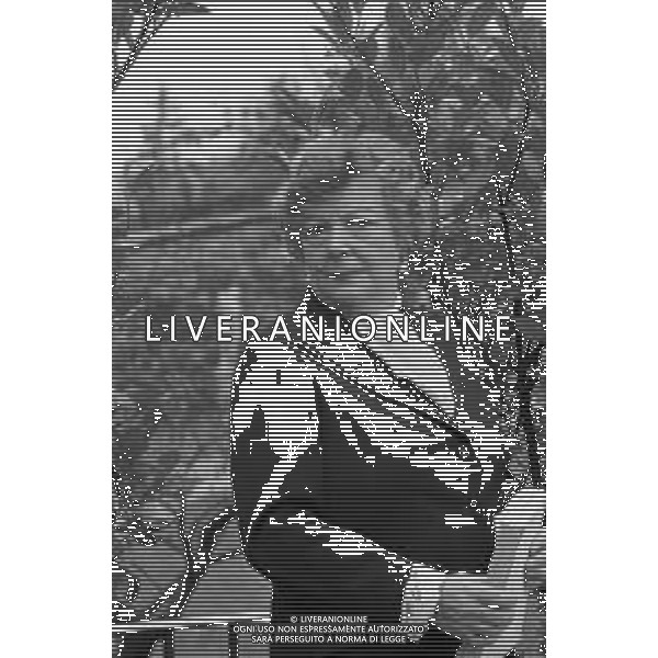 RETROSPETTIVA MARIANA FRIGENI CAREDDU SCRITTRICE NELLA FOTO NELLA SUA ABITAZIONE A BERGAMO NOVEMBRE 1976 ©Archivio Giovanni Liverani/AGENZIA ALDO LIVERANI SAS